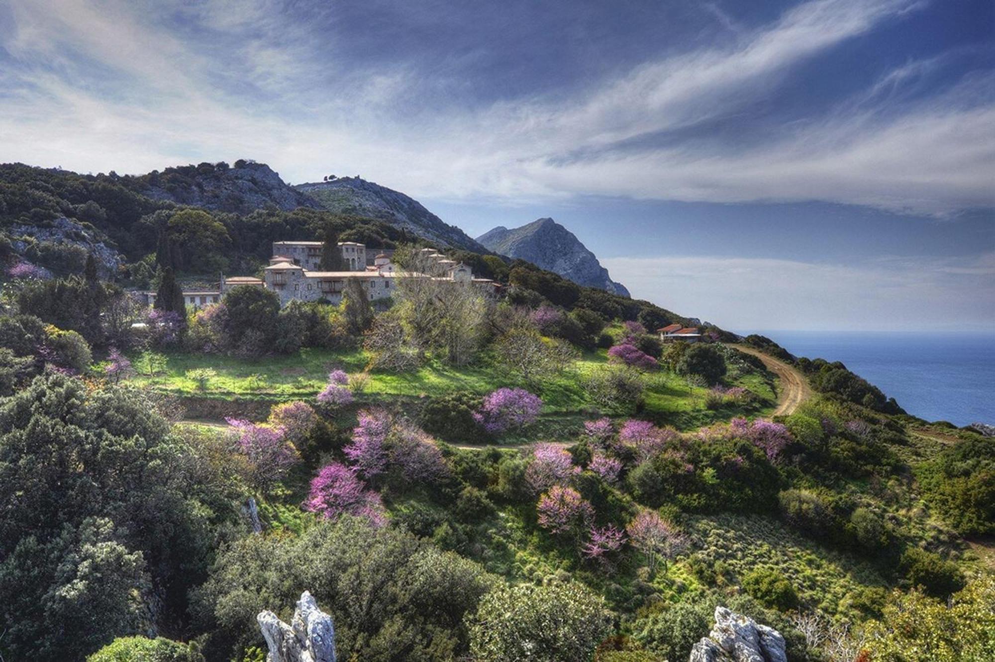 Blue Dream Seaside Villa With Superb Sea Views Kymi Dış mekan fotoğraf